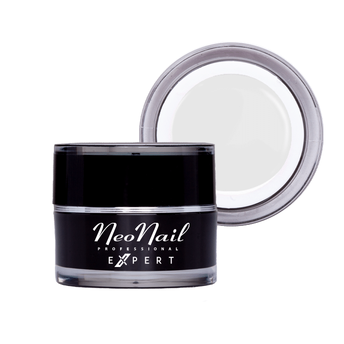 Paint Gel Expert White Rose